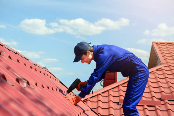 Pinnacle Roofing Experts