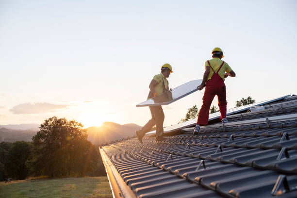 Best Skylight Installation and Repair  in Rogersville, AL